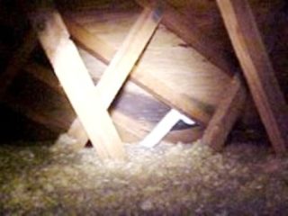 Bath Fan Venting into Attic Caused Mold
