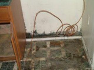 Mold From Leaking Icemaker Line