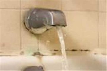 Mold in Bathtub / Shower Area